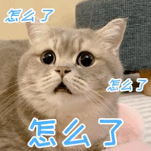 DƬ